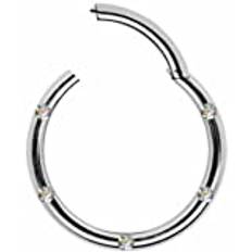 CLICKER TITAN G23 Septum Näsring SEGMENTRING piercing-ring gångjärn näsa öra bröst intim läpp ögonbryn kirurgiskt stål 316L rostfritt stål titan segment (1,2 x 8 mm, titan silver, 5 k vit)