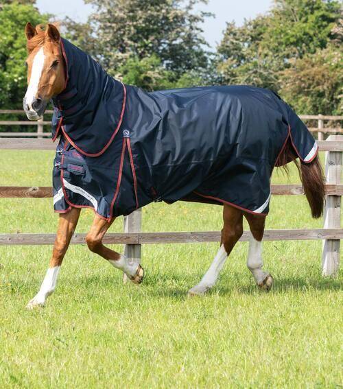 Premier Equine Buster med Classic hals - 150g