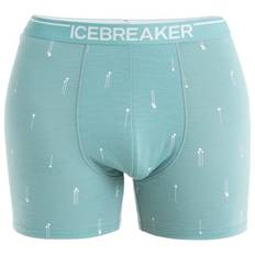 Icebreaker M Mer Anatomica Boxers Palm Trail AOP - Cloud Ray/Aop (XXL)