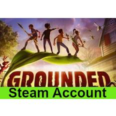 Grounded Steam Account