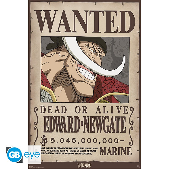One Piece - Poster 91.5x61 - Wanted Whitebeard