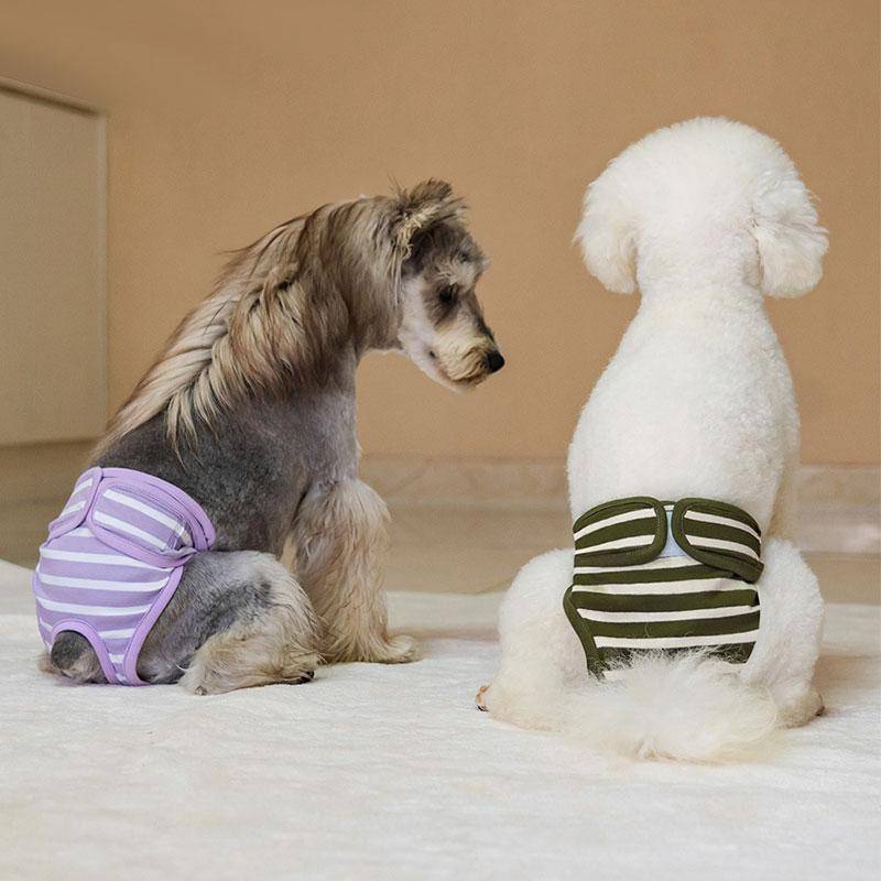 Husdjur Randiga Fysiologiska Byxor Anti-Trakasseri Bomull Hund Menskliga Elastiska Kanter Förhindra Kvävning Husdjursprodukter violett