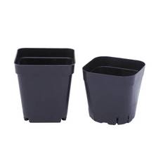 Plastpotte, firkantet 10 stk - Flere størrelser 5,5 x 6 cm