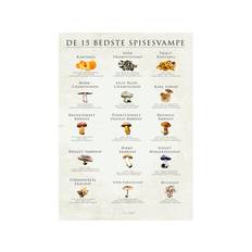 Poster&Frame plakat - De 15 bedste spisesvampe - B 50 x L 70 cm - Papir