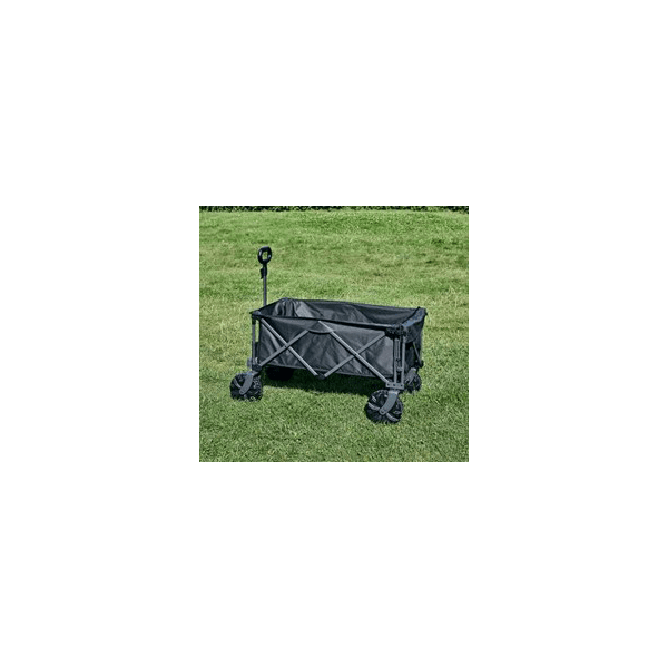 Isabella Skrinda Beach Trolley