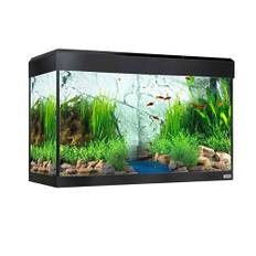 Fluval Roma LED Bluetooth 125L akvarium