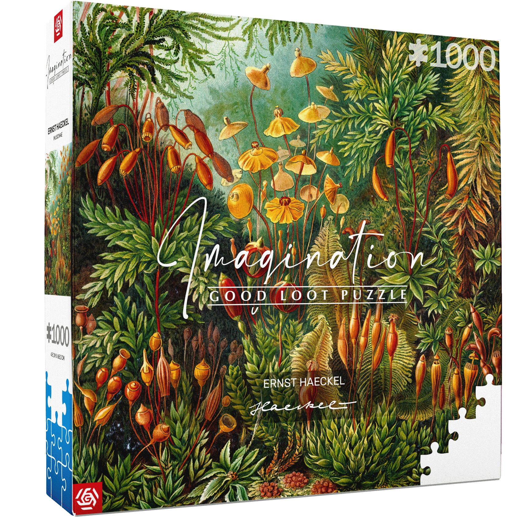 Good Loot - Imagination Puzzle - 1000 - Ernst Haeckel: Muscinae