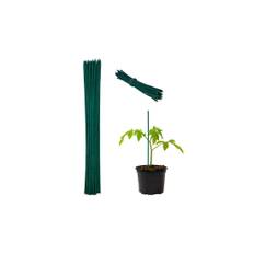 Blompinnar 30 cm i ett set om 50 st