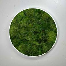Mosbillede provencemos Ø30 cm, Hvid