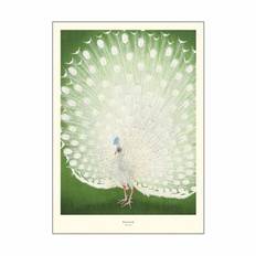 Poster&Frame Plakat - Peacook - B 70 x L 100 cm - Papir - Grøn
