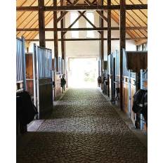 Ariat – Telluride Zip str. 38