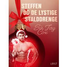 13. december: Steffen og de lystige stalddrenge – en erotisk julekalender - Sir Jay Cox - 9788726751765