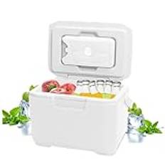 Liten kylbox 6 L liten kylare med 5 kylklampar långvarig 72–96 H kylkylbox läckagesäker isolerad frysbox med handtag för grill camping resor liten kylare