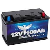 LiFePO4 12 V 100 Ah batteri för solanläggning, husbil, båt, hushåll, solpanelssats och camping, batteri litiumbatteri uppladdningsbart och BMS-skydd (Black)