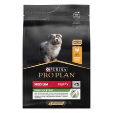 Dog Medium Puppy Kyckling