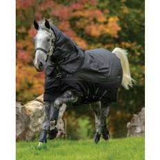 Amigo Bravo 12 Reflectech Plus Medium/ 250G från Horseware