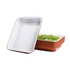 CONTITAL AS224750 | Aluminiumbehållare i 12 portioner vit/kopparlackerad, 25 st extra hårda | eleganta engångsbehållare för mikrovågsugn, förvaring | aluminiumformar för livsmedel