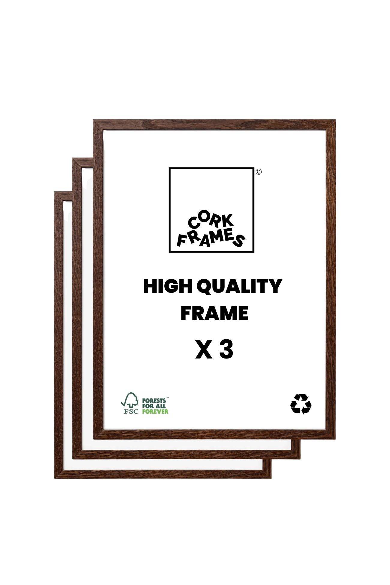 Ram för Poster – Rökt Ek (3-pack) - 30x40 cm / 12x16″
