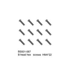 B head hex screws HM4x22