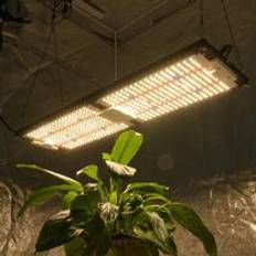 240W Kingbrite LM301H mix Epistar 660nm UV IR full spectrum Led Plant Grow Lights