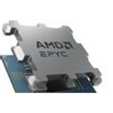 AMD EPYC 4344P Tray 12 units