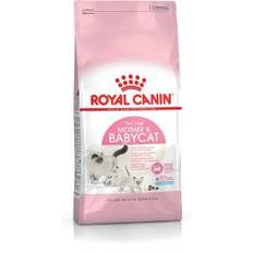 Kattmat Royal Canin Mother & Babycat Vuxen Fåglar 4 Kg