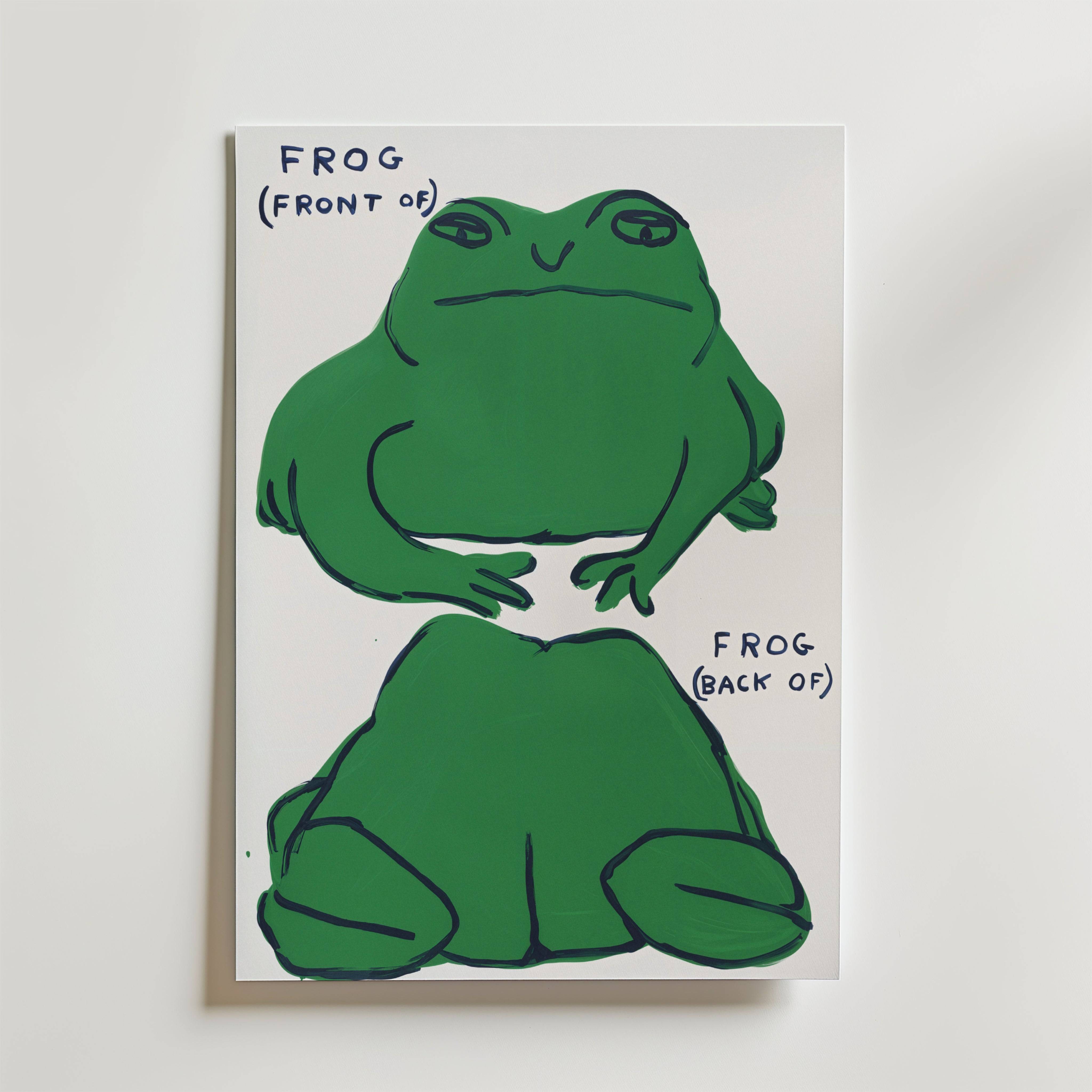 Frog Perspective Poster - Fine Art Poster 21x30 cm