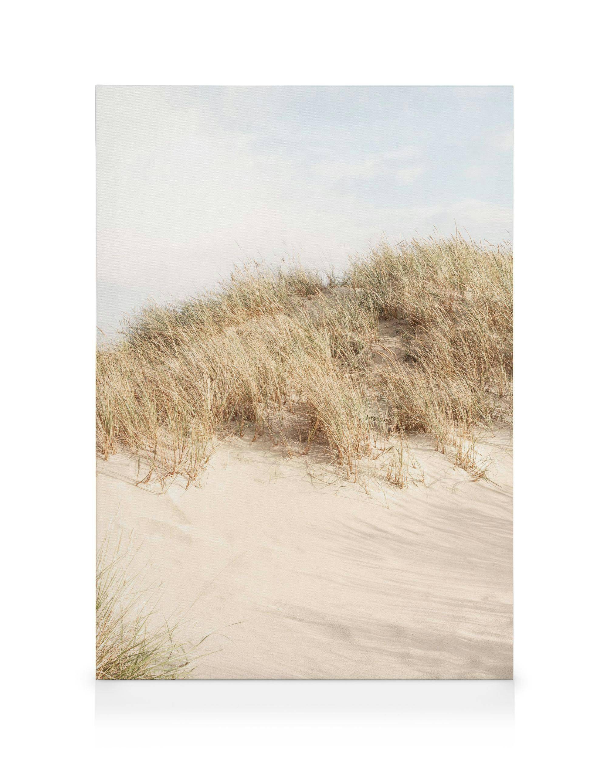 Canvastavlor Shorelines No2 Canvastavla (50x70 cm - Ekram)