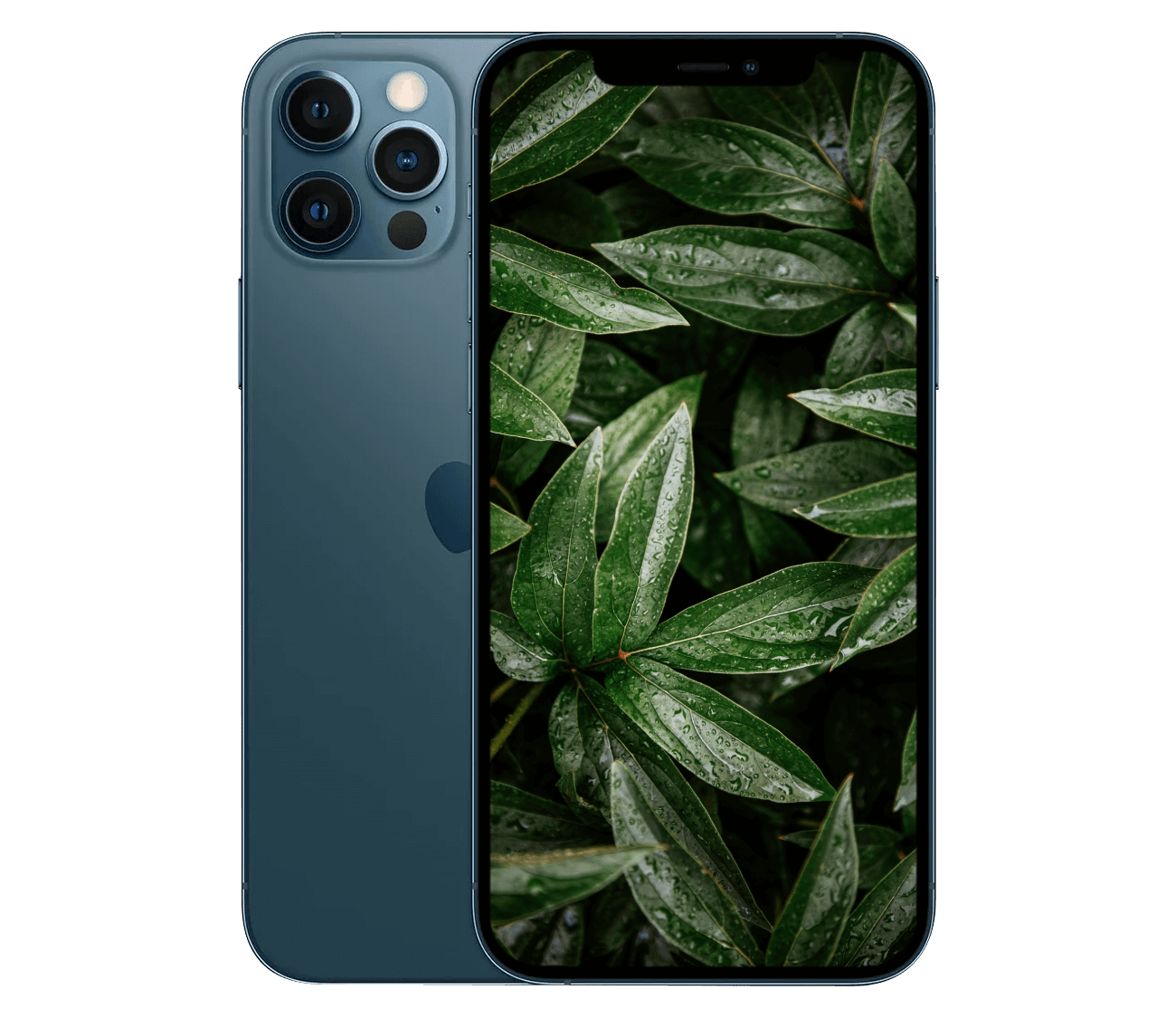 iPhone 12 Pro