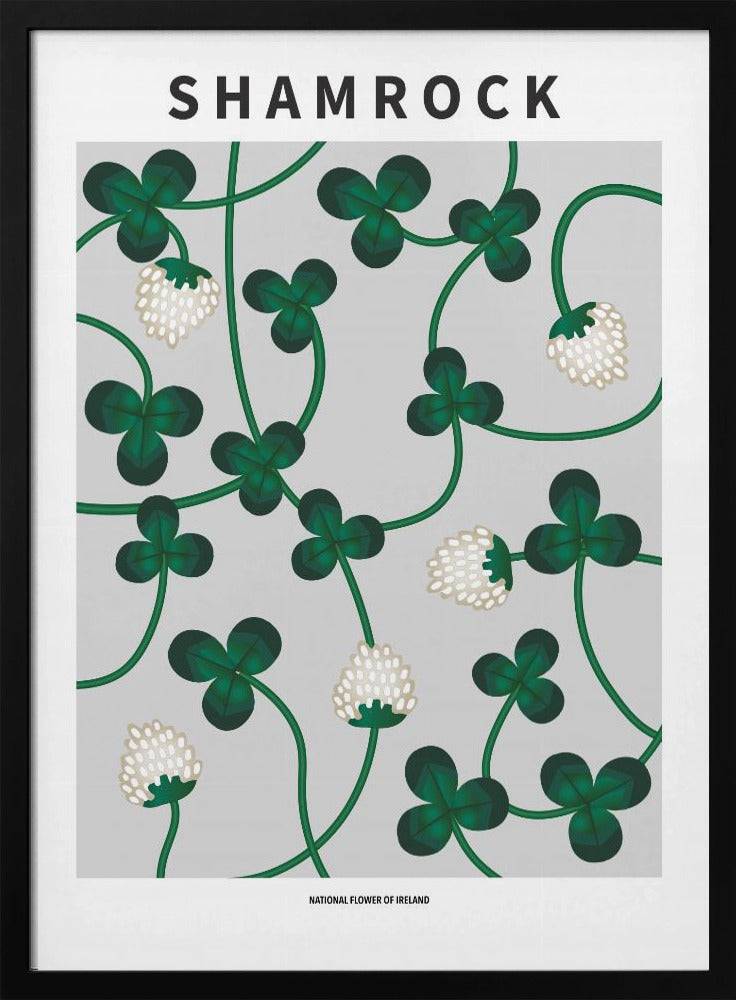 Shamrock - National flower of Ireland Poster - 70x100 cm / 28x40″
