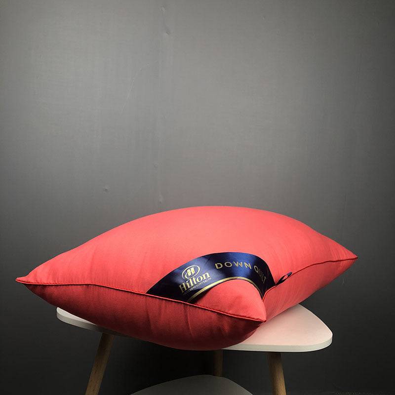 Hotel Pillow Pillow Single Dormitory - Red / E