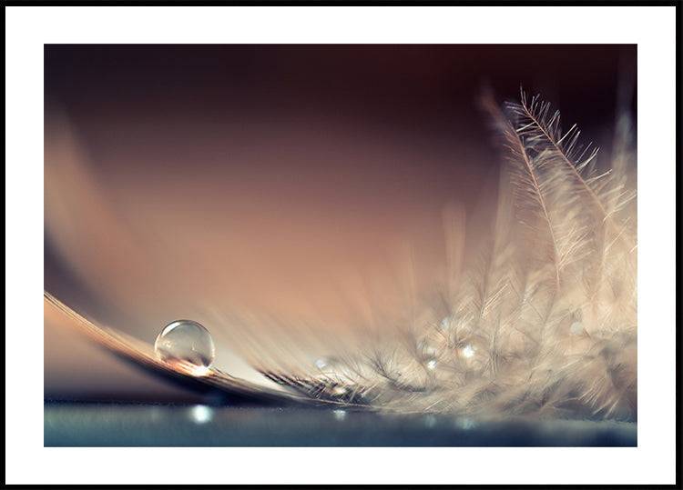 Stories of Drops (100x140cm) - Plakater > Fotografiska Posters, Abstrakta Posters, Natur Posters