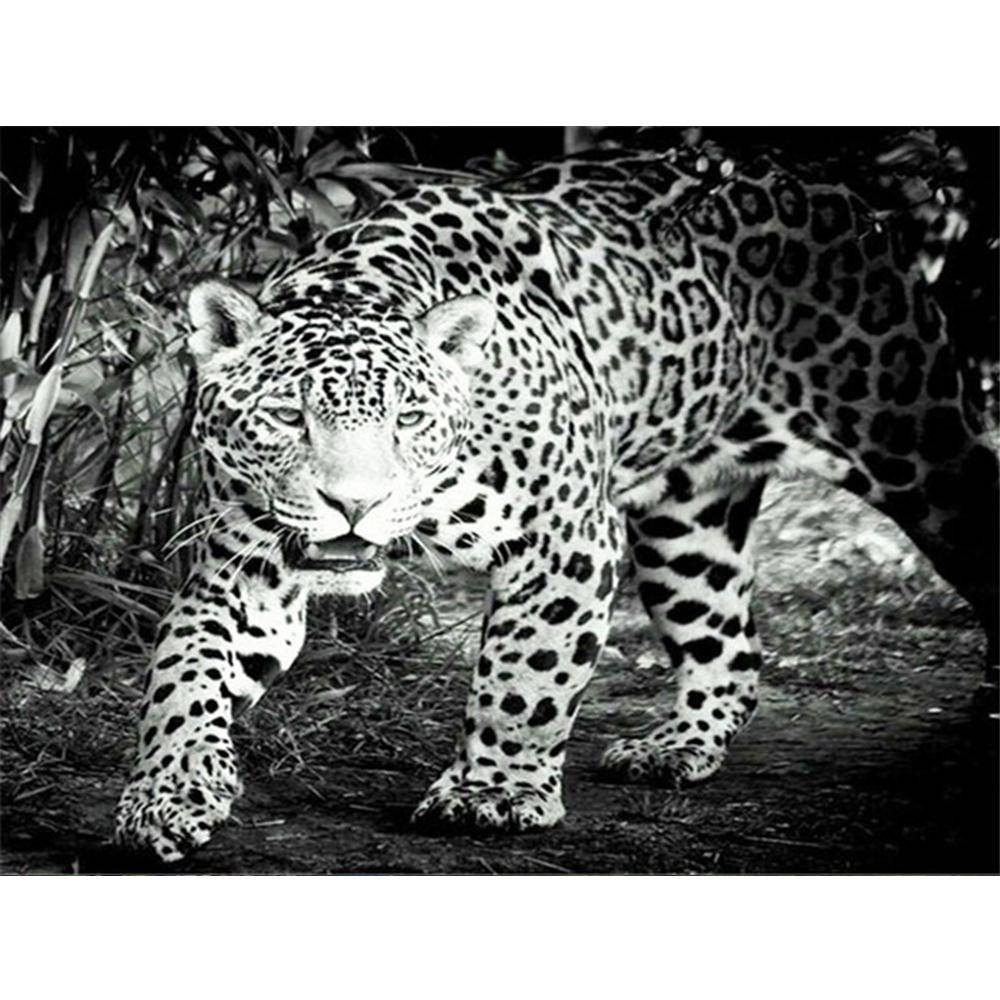 5d Diamantmålning Kvinna Djur Diamantbroderiförsäljning Leopardbilder av Rhinestones Mosaikhantverk Full Round 20X30CM