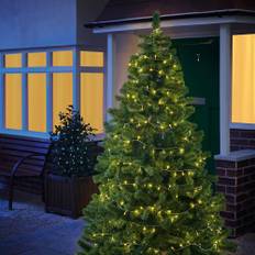 The Spirit Of Christmas Led Lights