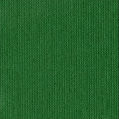 Cardstock Bazzill - Canvas - Classic Green