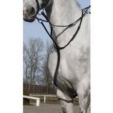 CATAGO Martingal Sort Pony