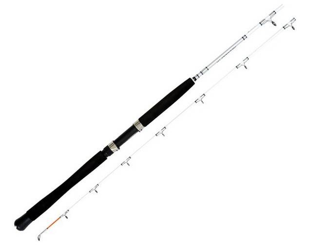 Daiwa Accudepth Trolling