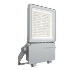 Strålkastare Flex 11500lm 80W/830 DALI asym 55x120° grå IP66