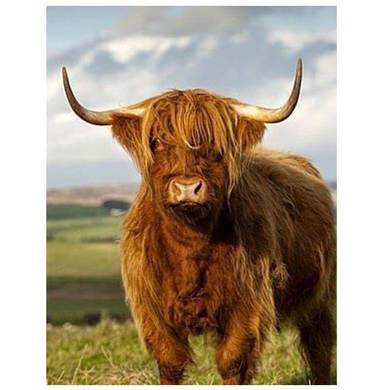 Diamond Painting Cow 5D Diamond Mosaic Cross Stitch Diamond Dots Painting Mosaic black