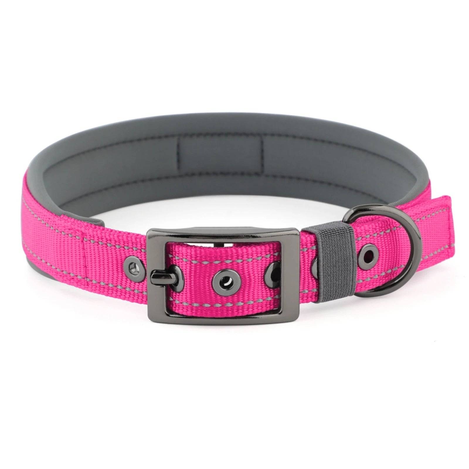 Neoprene Padded Reflective Dog Collar with Metal Buckle - Rose Red / L / SP