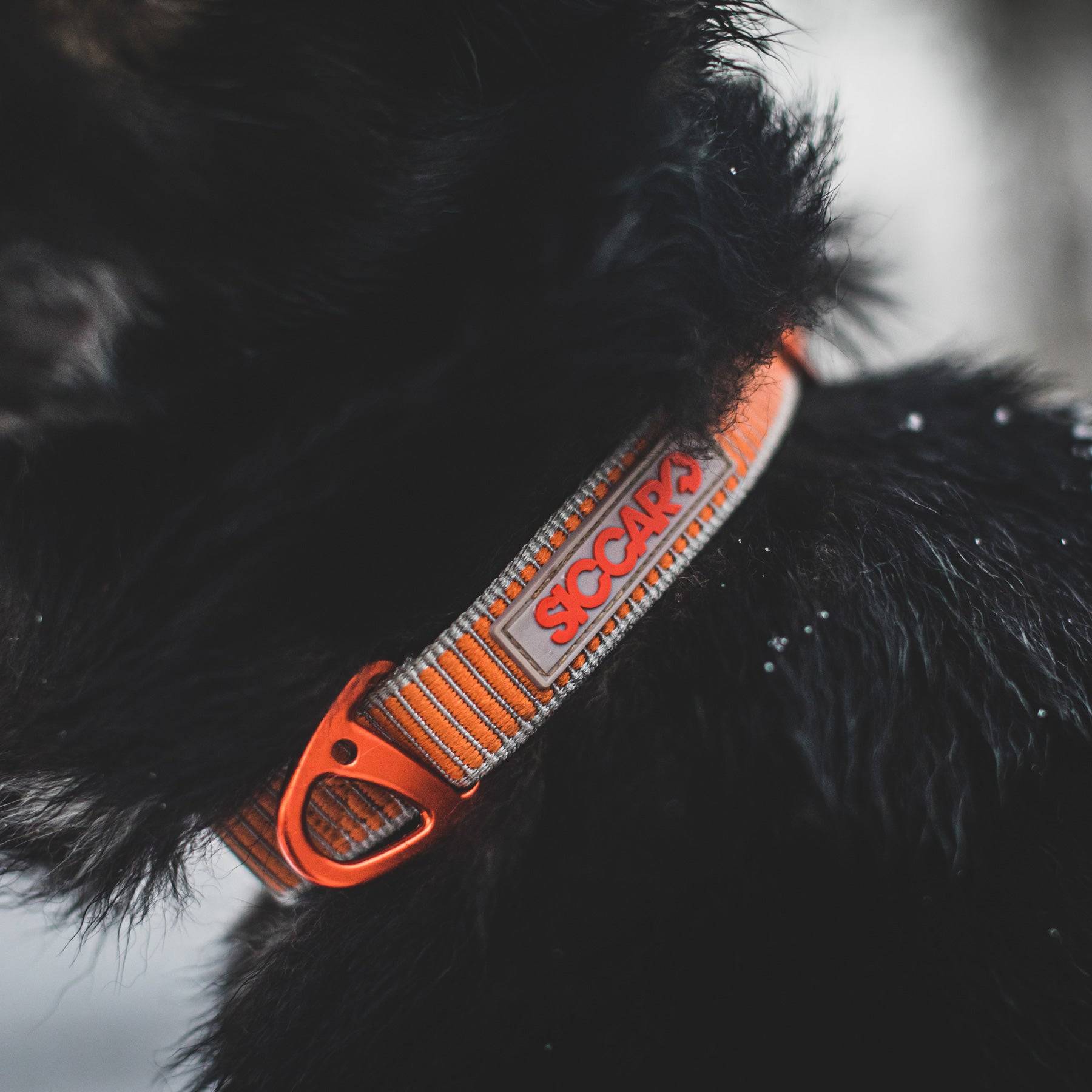Sealines halsbånd / 100% genanvendt nylon - Orange/Silver / M