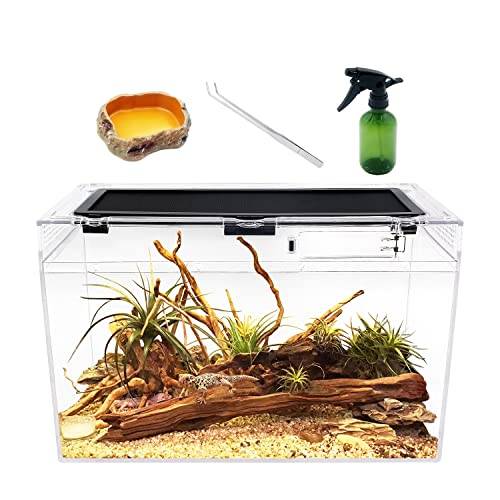Reptile Growth Reptil terrarium komplett set, 40 cm x 20 x 25 cm terarium, terrarium, glas för leopard gecko skäggagam snigel fågelspindel orm gudsdyrska spindlar springspindel groda