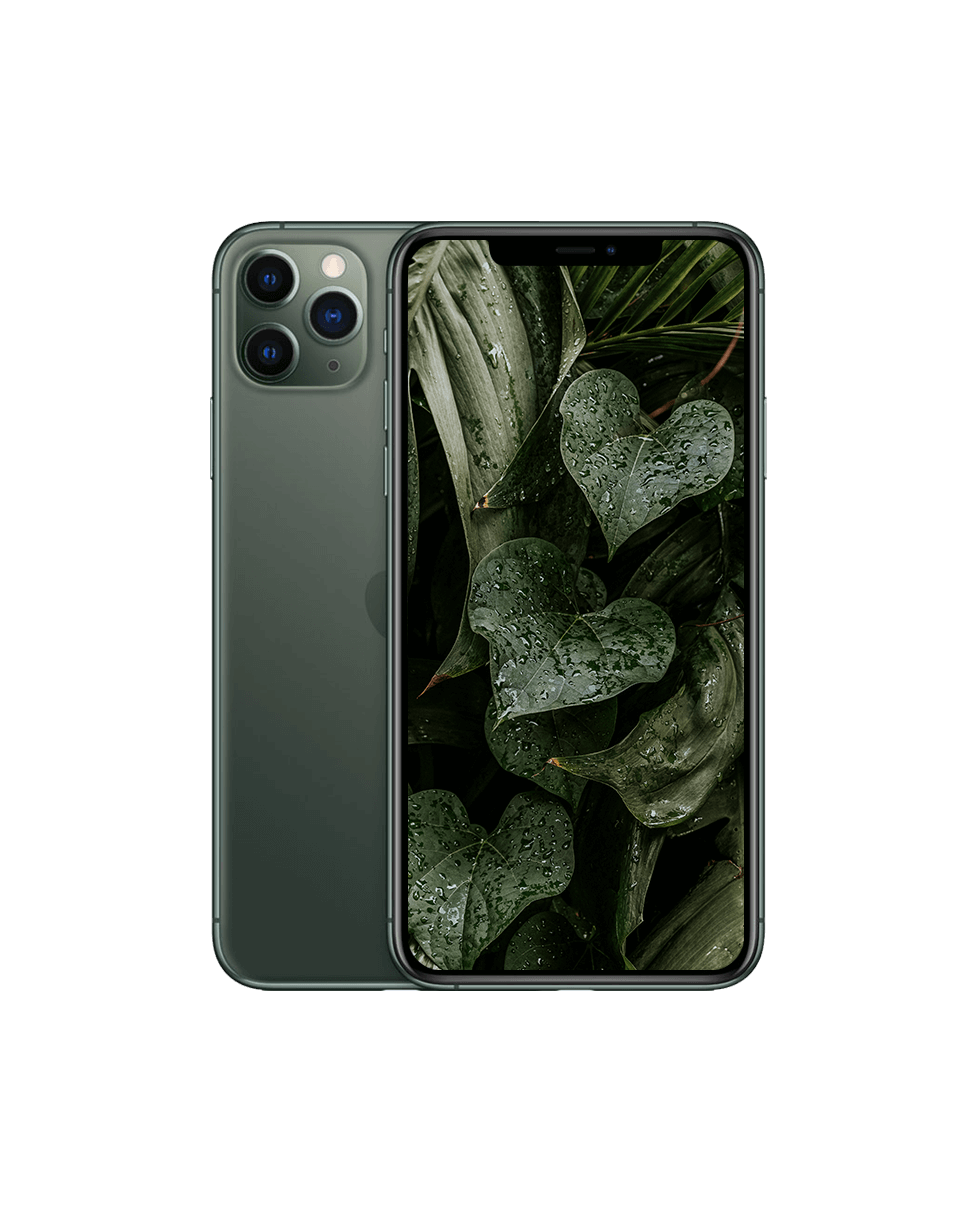 iPhone 11 Pro Max Midnattsgrön / 256GB / Okej skick