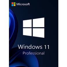 Microsoft Windows 11 Pro MUI (Retail ESD)