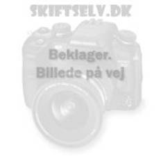 Microsoft (OEM) GGK Microsoft Windows 10 Pro PL X64 DVD OEM 4YR-00234