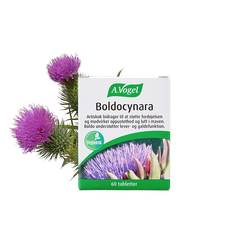 A.Vogel Boldocynara Tabletter (60 tabl.)