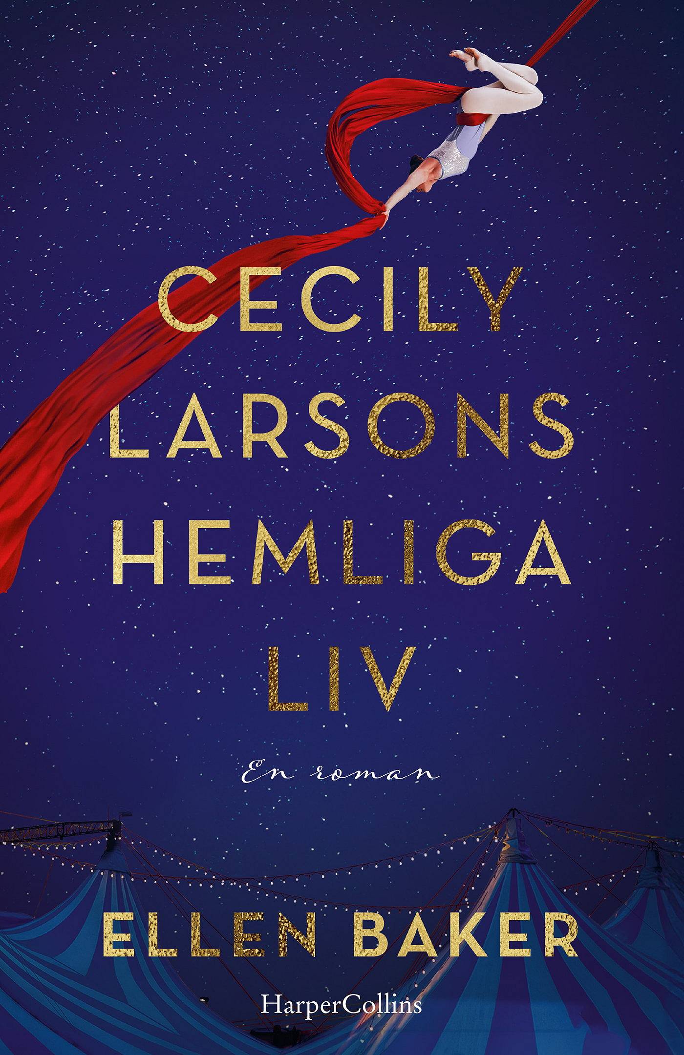 Cecily Larsons hemliga liv, E-bok