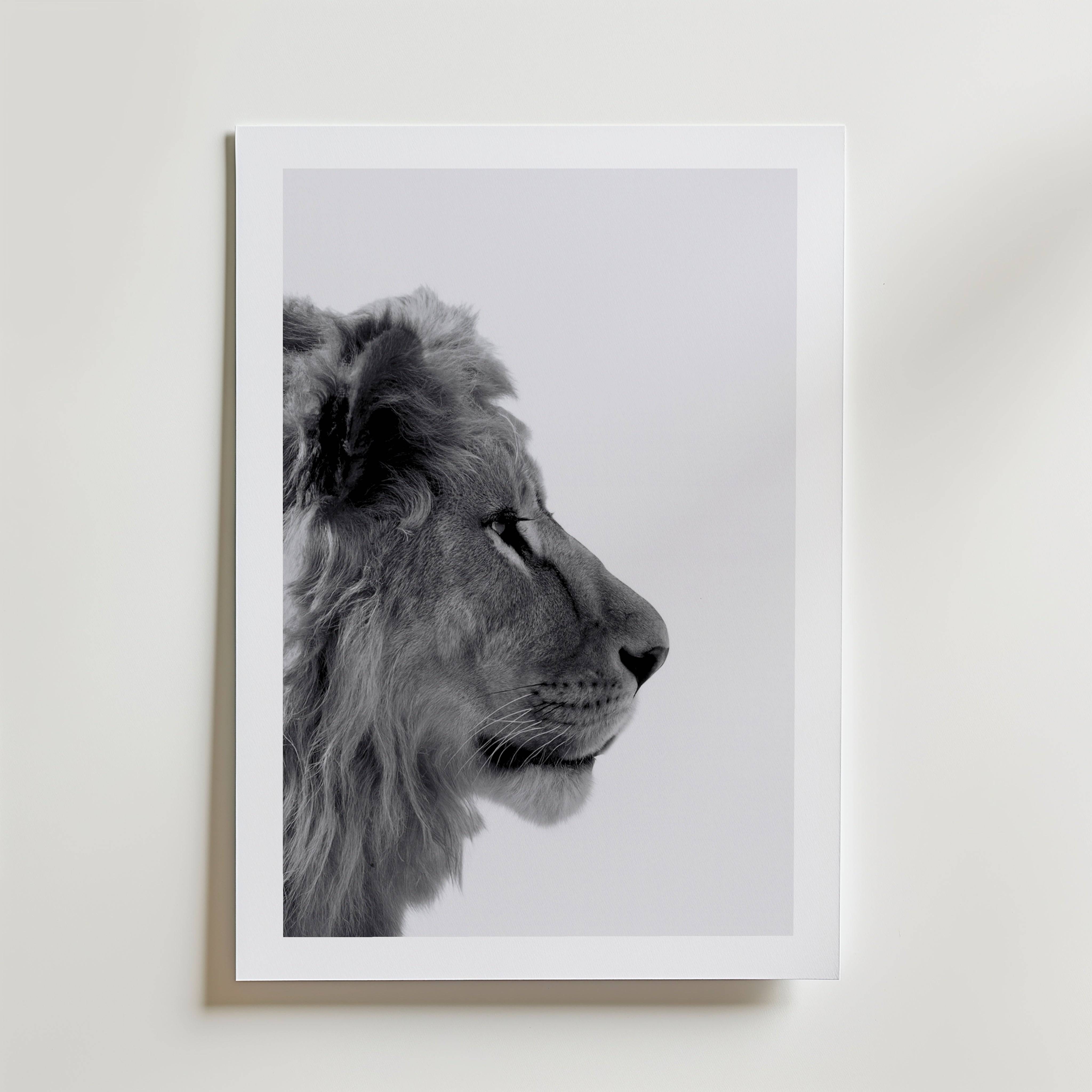 Lion In Profile Poster - Fine Art Poster 100x140 cm Med passepartout