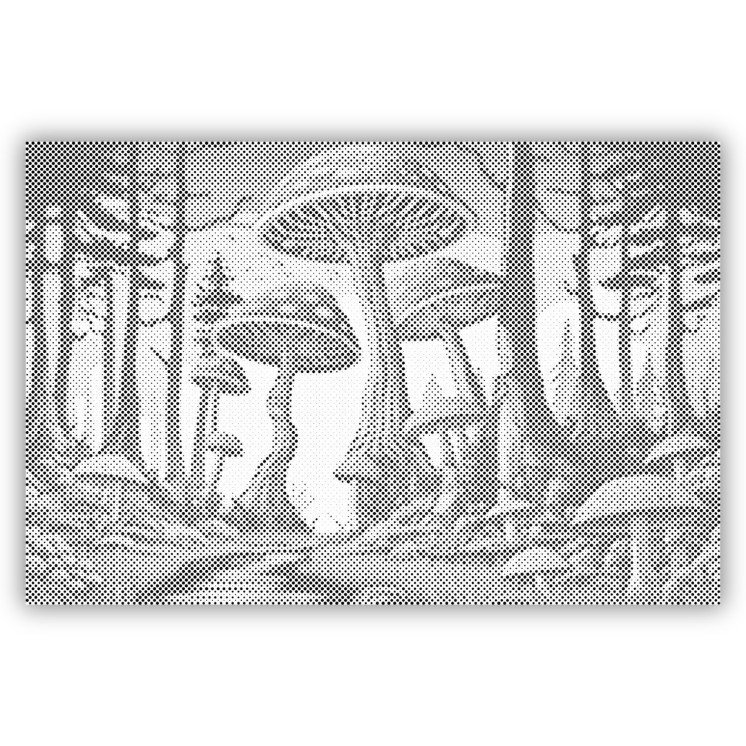 SVAMPER | PRICKMÅLNING - 60x80cm (24'' x 32'') / Duk - Utan ram