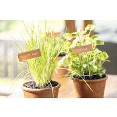 Plantetiketter FLORASELF koppar 10-pack